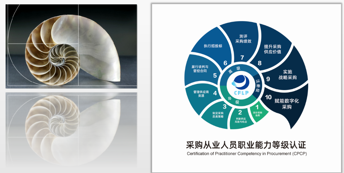 香港宝典免费资料网